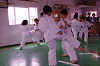 siroj (140)_samu.gif